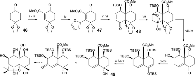 The Ducrot synthesis of a functionalised (±)-decalin derivative (1999). Reagents and yields: (i) NaH, CO(OMe)2; (ii) PhSeCl, Pyr; (iii) H2O2 [66%, 3 steps]; (iv) furan, BF3 [61%]; (v) DMDO; (vi) TBSOTf, 2,6-lutidine [72%, 2 steps]; (vii) H2O2, NaOH [77%]; (viii) LiAlH4 [56%]; (ix) PTSA [40%]; (x) TBSOTf, 2,6-lutidine; (xi) LiBH4; (xii) TBSOTf, 2,6-lutidine; (xiii) TFA [94%, 4 steps]; (xiv) MeLi [36%].