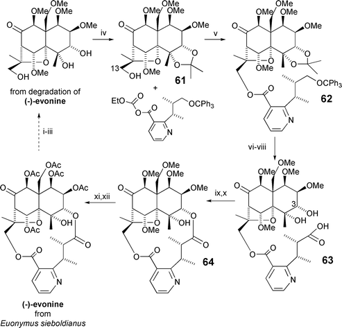 The Yamada re-synthesis of evonine (1975). Reagents and yields: (i) NaOMe [67%]; (ii) MeI, NaH [75%]; (iii) NaOMe [84%]; (iv) (MeO)2CMe2, CSA [56%]; (v) DMAP, Et3N, DME [34%]; (vi) 80% AcOH [82%]; (vii) CrO3, Pyr [70%]; (viii) AcOH [68%]; (ix) CH2N2; (x) NaH, DMF [12%, 2 steps]; (xi) BCl3; (xii) Ac2O, Pyr [35%, 2 steps].