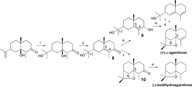 The Deslongchamps synthesis of (+)-α-agarofuran (1968). Reagents and yields: (i) Hg(OAc)2, NaOH, NaBH4 [75%]; (ii) NaOMe [81%]; (iii) LiAl(OtBu)3H [100%]; (iv) PTSA [100%, total]; (v) PTSA [30%]; (vi) toluene-p-sulfonylhydrazine, then NaBH4 [25%].