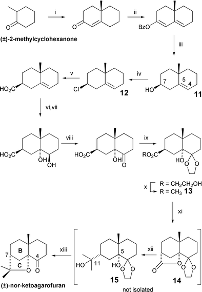 The Kelly synthesis of (±)-nor-ketoagarofuran (1972). Reagents and yields: (i) Na, MeCOCH2CH2NEt2 [35%]; (ii) BzCl; (iii) NaBH4 [60%, 2 steps]; (iv) PCl5 [72%]; (v) Mg then CO2 [78%]; (vi) HCO2H–H2O2; (vii) NaOH [50%, 2 steps]; (viii) Jones’ reagent [93%]; (ix) PTSA, HO(CH2)2OH [42%]; (x) LiOMe–BzOEt, MeOH [70%]; (xi) LiOMe–BzOEt, dioxane (xii) MeLi; (xiii) HCl [65%, 3 steps].