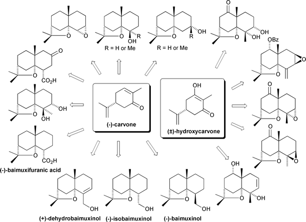 Overview of the Li and Guo syntheses of oxygenated agarofurans (1990s).