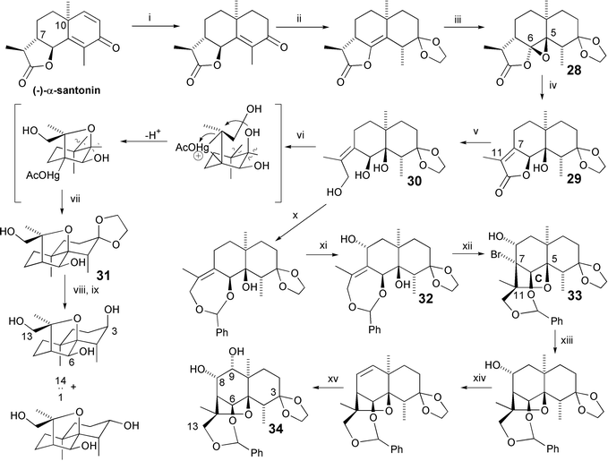 The Tu approach to dihydroagarofurans from (−)-α-santonin (1998, 1999). Reagents and yields: (i) H2, Raney-Ni [80%]; (ii) PTSA, HO(CH2)2OH [66%]; (iii) MCPBA [68%]; (iv) NaOMe [83%]; (v) LiAlH4 [95%]; (vi) Hg(OAc)2; (vii) NaBH4 [82%, 2 steps]; (viii) PTSA, acetone; (ix) LiAlH4 [70%, 2 steps]; (x) PhCHO, ZnCl2 [72%]; (xi) SeO2, tBuOOH; [82%]; (xii) NBS, CaCO3 [95%]; (xiii) nBu3SnH [92%]; (xiv) SOCl2, Pyr [52%]; (xv) NMO, OsO4 [87%].
