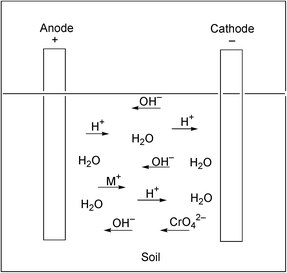 
          Electrokinetic transfer of the chromate oxoanion and electroosmosis in soils
        