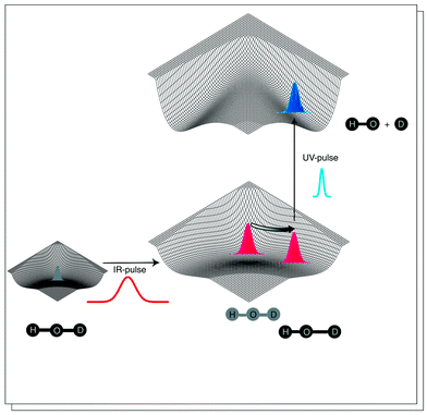 
            Selective bond breakage in the HOD molecule. The potential energy surfaces in the figure correspond to the electronic ground state and the first electronically excited state which supports no bound states. Initially, the molecule is in the vibrational ground state, described by the wave function with the Gaussian shape (lower left corner). An intense pulse in the infrared region can induce vibrational motion in the molecule, here HO–D stretching (this excitation method works only, without complications, when it is used on pre-oriented molecules). An ultrashort laser pulse in the ultraviolet region of the spectrum is fired when the wave packet is located such that the dissociation dynamics evolve solely in the desired product channel.
          