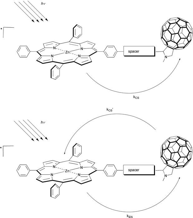 
          Schematic illustrations of the charge-separation pathways in ZnP-C60 ensembles, following visible light excitation.
        