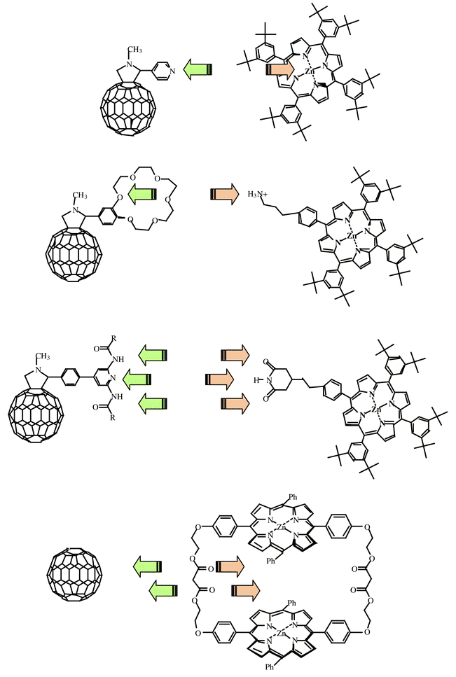 
          Self-organizing motifs.
        
