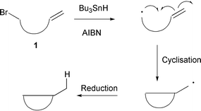 Reductive cyclisations using Bu3SnH.