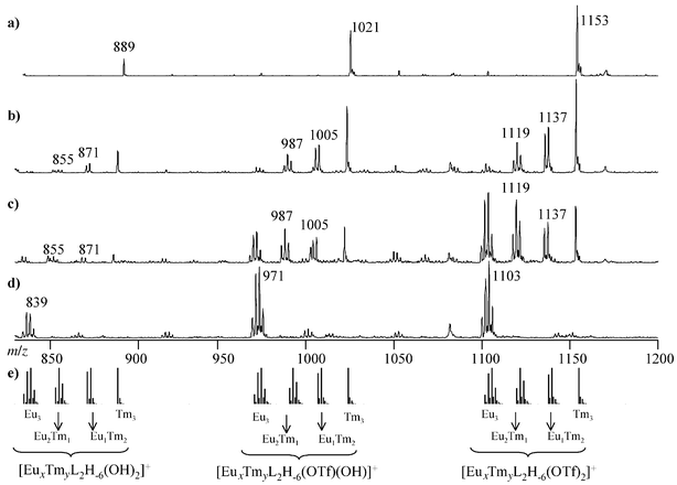 Theoretical and experimental ES-MS spectra of samples containing Eu(OTf)3, Tm(OTf)3, and TACI at pH 8 in water for different Eu ∶ Tm ∶ L ratios: (a) 0 ∶ 3 ∶ 2; (b) 1 ∶ 2 ∶ 2; (c) 2 ∶ 1 ∶ 2; (d) 3 ∶ 0 ∶ 2. (e) Theoretical isotope distributions.