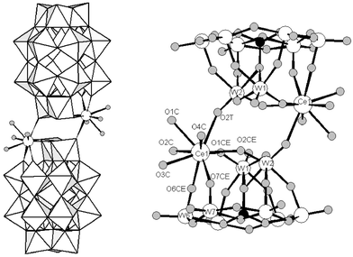 (left) Polyhedral representation of [Ce(α2-P2W17O61)(H2O)4]214− in the ammonium salt (white circles: cerium, grey circles: water oxygens) and (right) ball-and-stick representation of selected atoms (phosphorus atom is black).