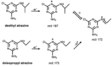 
            Possible gas phase reaction pathways for deethyl atrazine (DEA) and deisopropyl atrazine (DIA).
          