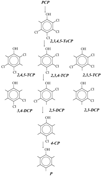 Reaction pathway for the dechlorination of PCP mediated by Fe0 or an Ag0/Fe0 bimetallic mixture.