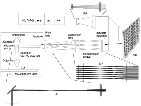 
          Schematic view of the newly developed laser ablation system: (a–d), ray tracing results for parts of the beam path.
        