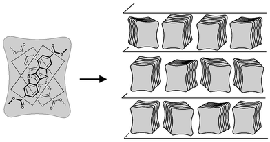 
            Sandwich-like arrangement of crossed molecules within the smectic layers represented as an assembly of paired molecule subunits.
          