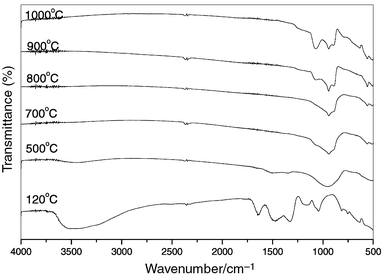 
              FT-IR spectra of Ca2Y7.2Eu0.8(SiO4)6O2 films on silicon wafers as a function of annealing temperature.
            