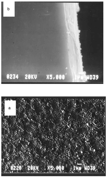 
              SEM images of the surface (a) and cross-section (b) of a Ca2Y7.2Eu0.8(SiO4)6O2 film sintered at 1000 °C.
            