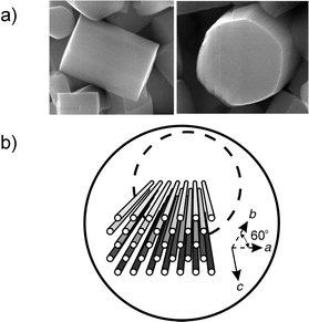 
          a) Side and top views of zeolite L crystals with a length of 950 nm and a diameter of 850 nm, respectively. b) A schematic view of some channels in a hexagonal zeolite crystal with cylindrical morphology. This is a pre-publication version of figures to be included in a forthcoming work tentatively titled Advances in Photochemistry Volume 27 edited by D.C. Neckers, to be published in 2002. Copyright © 2001 John Wiley & Sons Inc. All rights reserved.
        