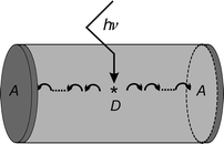 
          Simplified view of a bi-directional photonic antenna. The middle part shown in light grey contains donor molecules D. After excitation of D to D* the excitation energy migrates with equal probability to the left and to the right until it reaches an acceptor A (dark grey) which captures the excitation energy and emits it as red-shifted light.
        