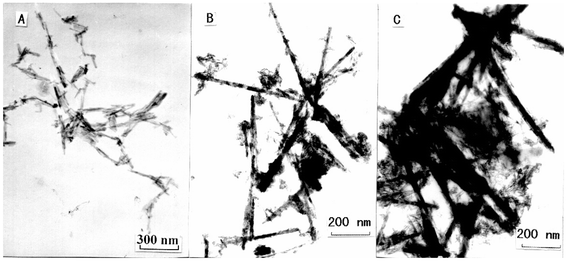 TEM images for CdIn2S4 nanorods prepared in mixed solvents with different EtOH∶en ratios: 1∶3 (A), 1∶1 (B) and 3∶1 (C).