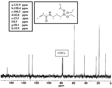 
            
              13C NMR spectrum of TEPAam.
          