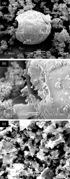 
          Scanning electron micrographs of SBA-2. A micrograph (a) from a synthesis, initial composition: 0.05 surfactant∶0.5 TMAOH∶TEOS1∶50 H2O, stirring rate ca. 300 rpm) shows hollow spheres and small solid particles. A close-up of a hole in one of the larger spheres shows the shell to be around 2 μm thick (b). A micrograph of a second preparation (composition 0.027 surfactant∶0.5 TMAOH∶TEOS∶45 H2O, stirring rate ca. 500 rpm) shows a predominance of irregular flat-sheet fragments, 50 μm or more across, and small spherical particles.
        