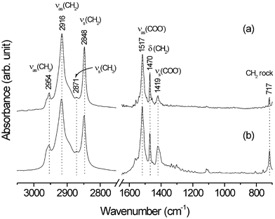 
          IR spectra of silver stearate (a) grown on Au and (b) synthesized via a two-phase (water/toluene) method.
        