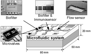 
          Schematic diagram of a generic microfluidic system for biochemical detection.
        