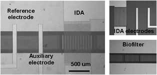 
          Microphotograph of the integrated biofilter and biosensor. The volume of the fluidic chamber for biofiltration, reaction, and detection was calculated to be 750 nl.
        