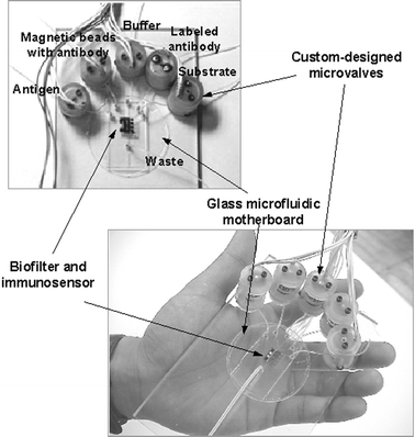 
          Photograph of the fabricated microfluidic biochemical detection system for magnetic bead-based immunoassay.
        