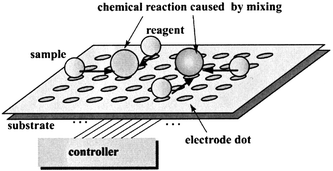 Application of the concept for combinatorial chemistry.