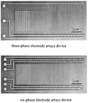 The electrode array devices.