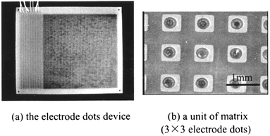 The nine-phase electrode dots device.