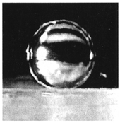 A water microdroplet in oil (a microdroplet was 1 mm in diameter).