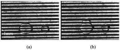 Deformation and breaking of NaOH solution droplets.