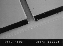 
            SEM image of top view of the micro-channels fabricated on a PMMA plate.
          