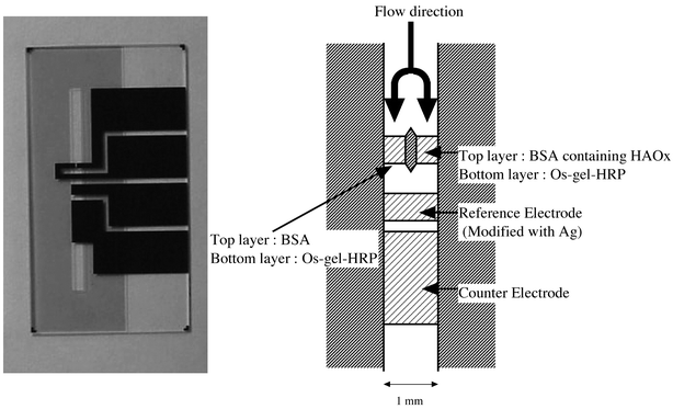
            A photograph of our microfluidic device for measuring histamine and a schematic representation of the electrochemical cell.
          
