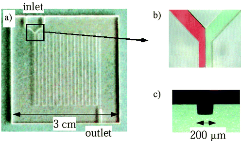 
          PMMA microreactor with a 200 μm width microchannel. (a) Picture of the whole microreactor plate, (b) Y-shape inlet and laminar flows of red (left) and green (right) solutions, (c) cross sectional view of the microchannel.
        