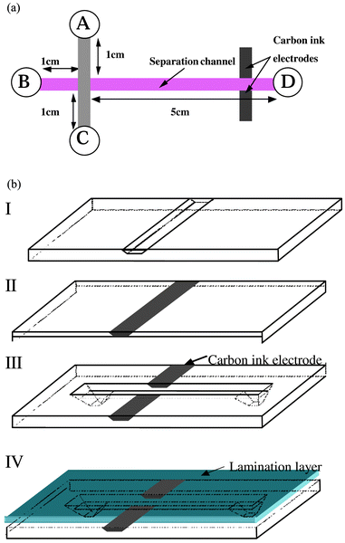 Schematic diagram showing the structure of polymer μ-chip devices used to demonstrate the concept of the present pressure-driven injection method. The structure in part (a) is composed of an asymmetrical cross of sealed micro-channels that are connected to external tubes via the reservoirs A–D. On the right hand side of the structure, the longer micro-channel serves as separation column, and two carbon ink micro-electrodes are inserted in the vertical walls of this micro-channel in order to detect the injected plugs by conductivity. The structure of part (b) shows the fabrication principle for the incorporation of the electrodes on the microchip for the conductivity detection.