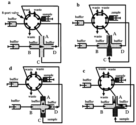 Schematic diagram of a two-way micro-8-port valve connected to a micro-channel network as shown in Fig. 1, which describes the movement of a sample and an elution solution as a function of the position of the valve. This figure illustrates how a sample can be injected into a micro-channel network: a, the standby state before sample loading; b and c, configuration of the pressure pinched injection, where the sample solution is loaded into the cross and where the loaded plug is pressed by two countercurrent flows. A symmetrical triangle (b) or a non-symmetrical (c) shape of the loaded plug can be obtained using the same pinch pressures or different ones at B and D connections. d, Configuration of the separation position where the sample plug is injected under pressure and evolves in a parabolic shape.