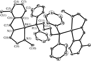 Molecular structure of [{Pd[2-ClC6H3C(H)NCH2CH2SMe]}2{μ-Ph2P(CH2)4PPh2}][CF3SO3]2 
(11), with labelling scheme. Hydrogen atoms have been omitted for clarity.