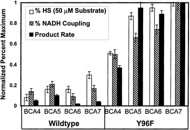 Comparison of normalized Soret shift assay values (%HS) with NADH coupling and product turnover rates for each P450cam-substrate pair.