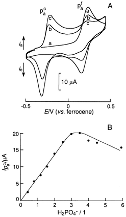 
(A) Cyclic voltammograms, recorded at a Pt disc electrode (5 mm in diameter) in CH2Cl2 + 0.1 M TBAP, of 0.6 mM 1: (a) free 1; (b) H2PO4−/1 = 1.6; (c) H2PO4−/1 = 3. Sweep rate 0.1 V s−1. (B) Amperometric titration of dihydrogen phosphate in CH2Cl2: increase in the intensity of the new wave vs. the number of equivalents of H2PO4− added per (ferrocenylmethyl)trimethylammonium.