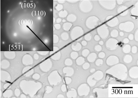 TEM image of a single ZnO nanowire (inset is the SAED pattern).