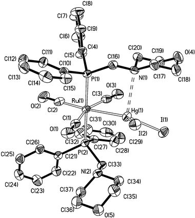 Perspective view (35% thermal ellipsoids) of the molecular structure of [Ru(CO)3(μ-Ph2PCH2morph)2HgI2]
[Ph2PCH2morph = N-(diphenylphosphinomethyl)morpholine], 4, in 4·Et2O.