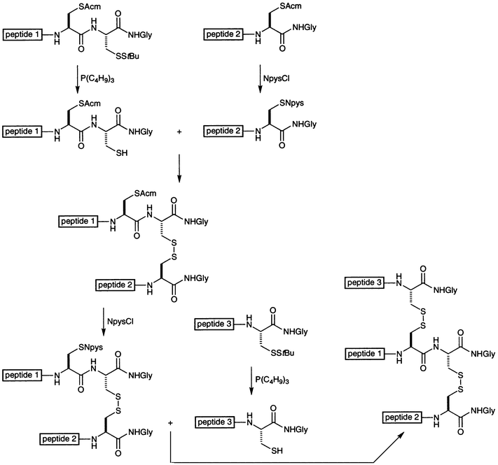 Scheme for the synthesis of a collagen mimic with a cystine knot tether.65–69 NpysCl is 3-nitropyridyl-2-sulfenyl chloride.