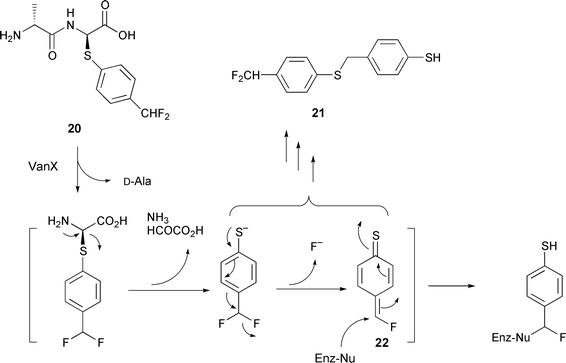 The inactivation mechanism of VanX by dipeptide 20 proposed by Aráoz et al. 4-Thioquinone fluoromethide 22 is an intermediate which reacts with enzyme nucleophilic residues forming a covalent bond. The mechanism was supported by the isolation of a thiophenol dimer 21.