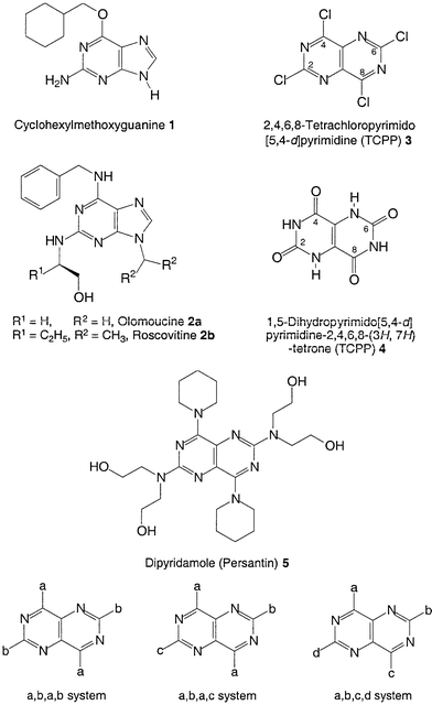 Substitution patterns for pyrimido[5,4-d]pyrimidines.
