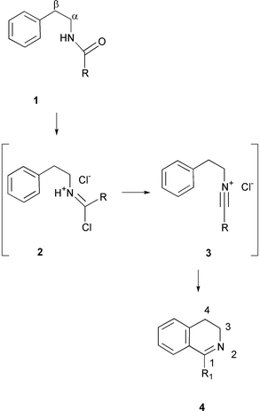 The Bischler–Napieralski reaction of 2-phenylethylamides 1 to generate the corresponding 3,4-dihydroisoquinolines 4. Salts 2 and 3 have been proposed as reaction intermediates (ref. 3).