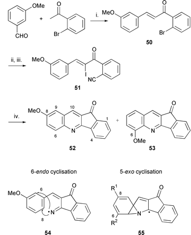 Reagents and conditions: i. NaOH, EtOH, rt, 24 h (83%); ii. CuCN, DMF, 150 °C, 4 h (63%); ICl, Et3N, CH2Cl2 (100%); iii. (Me3Sn)2, toluene, sunlamp irradiation (2 × 150 W), 80 °C, 24 h (52
∶
53
= 1 ∶ 3.2, 25%).