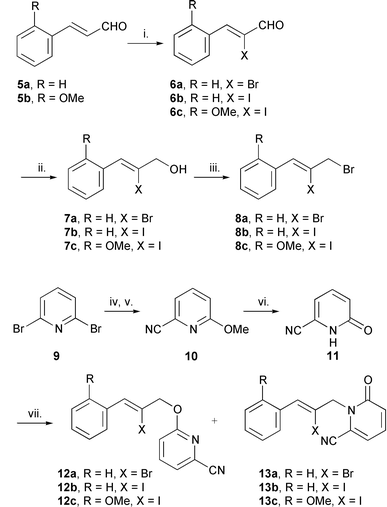 Reagents and conditions: i. Br2, Et3N, CH2Cl2 (6a, 90%); ICl, Et3N, CH2Cl2 (6b, 80%, 6c, 95%); ii. NaBH4, CeCl3, MeOH (7a, 100%), (7b, 100%), (7c, 85%); iii. CBr4, Ph3P, MeCN (8a, 100%, 8b, 100%, 8c, 80%); iv. NaOMe, MeOH, reflux; (73%); v. CuCN, DMF, reflux, 48 h (10, 62%); vi. TMSCl, NaI, MeCN
(11, 82%); vii. 8a–c, NaH, LiCl, DME, DMF (13a, 71% from 8a, 13b, 63% from 8b, 13c, 45% from 8c).