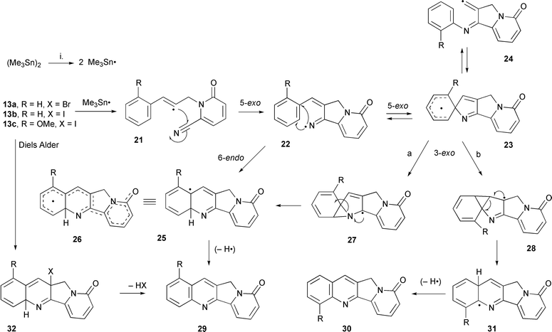 Reagents and conditions: i. (Me3Sn)2, t-BuPh, 150 °C (29a, 73%, 29c 45%; 21–31, a, R = H; c, R = OMe).